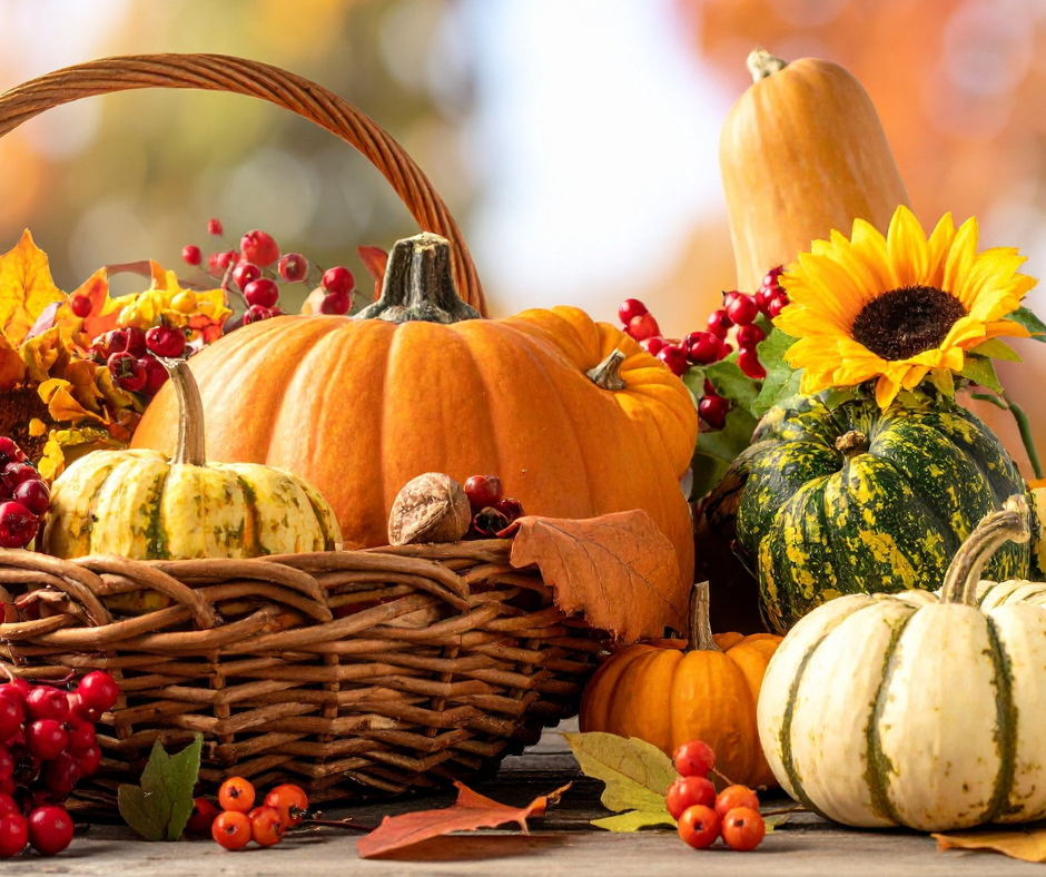 Rag Mops 'Specials' Page photo a basket with pumpkins